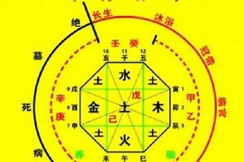 八字重缺點|八字重缺點5大優點! 獨家資料! (2024年更新)